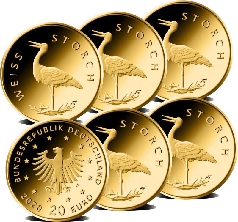 Gouden complete set 1/8 ounce Wit Ooievaar