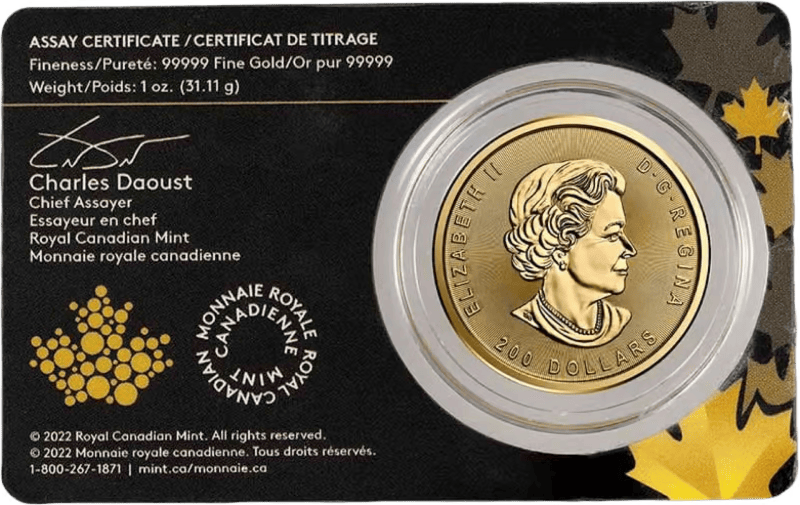 Gouden 1 Ounce Klondike goudkoorts Prospecting