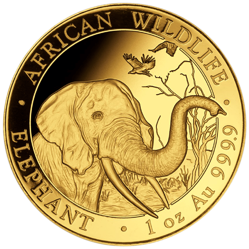 Gouden Somalische olifant 1 ounce