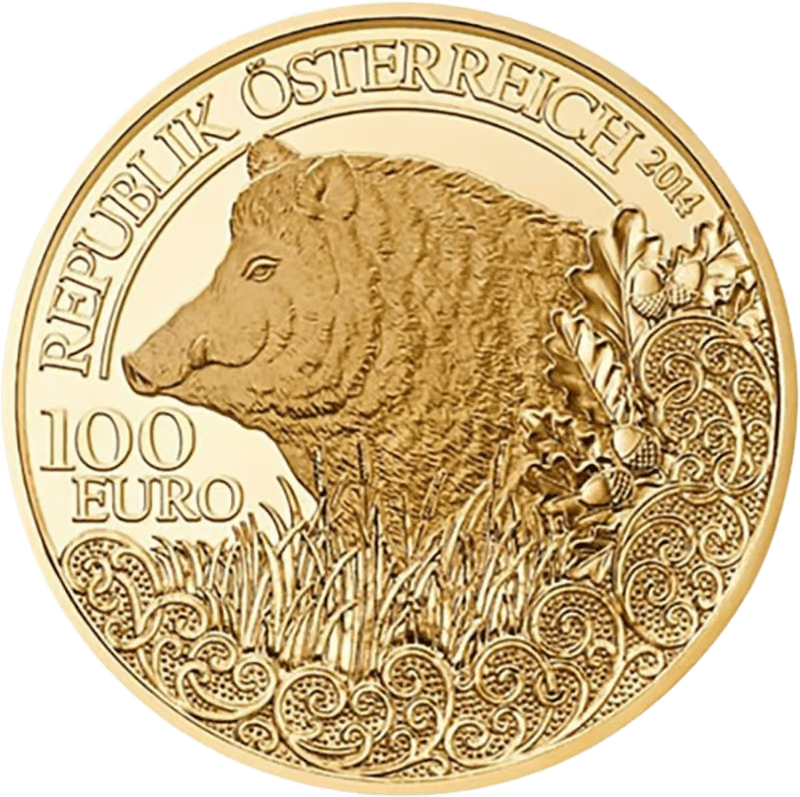 Gouden Everzwijn wilde dieren 2014